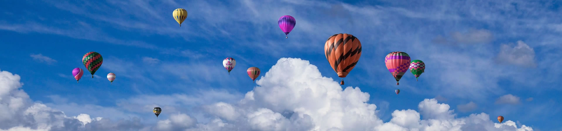 尊龙凯时尊龙平台怎么样介绍